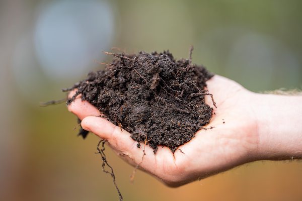 Compost Products in Brookeville, MD