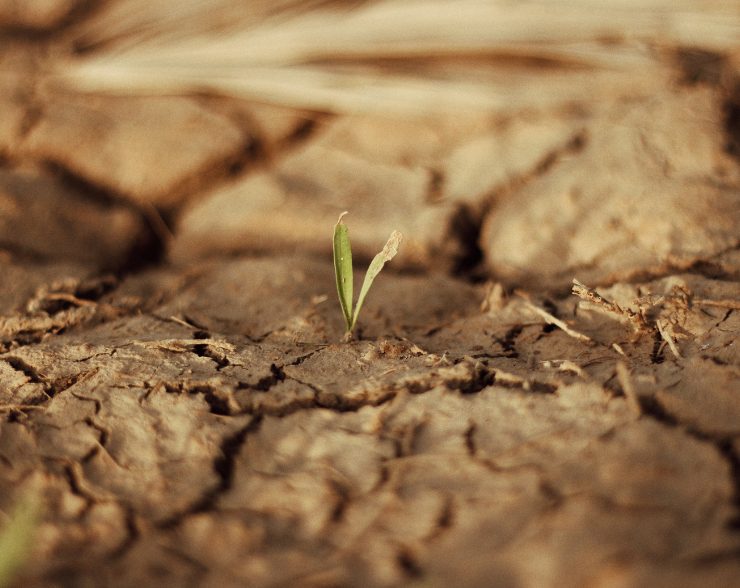 Mulch For Erosion Control in Laurel, MD